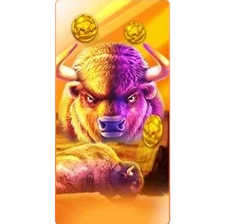 Buffalo
King